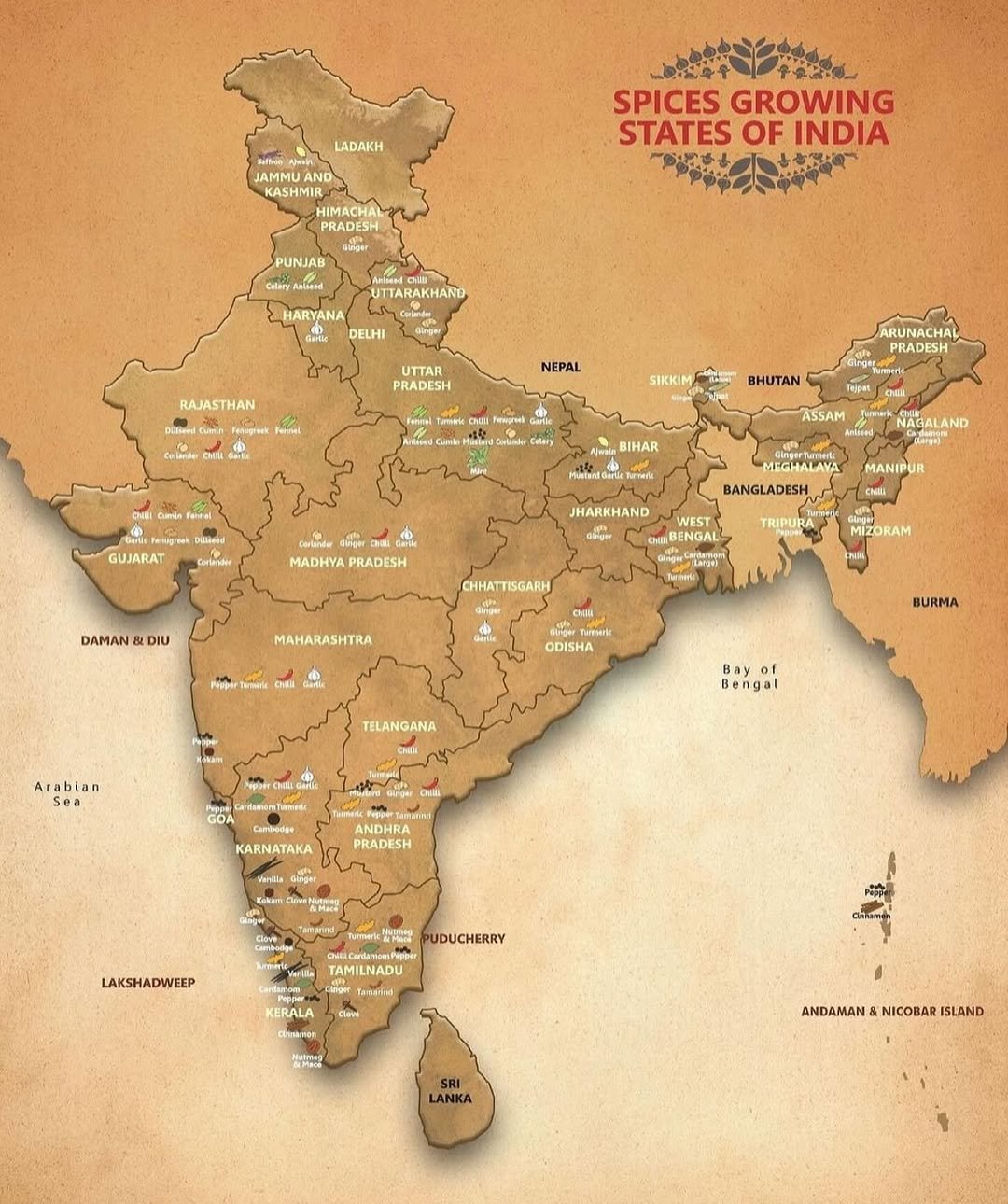 Map of spices growing states of India for export sourcing